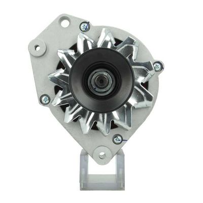 Alternator BV PSH 305.019.090.010