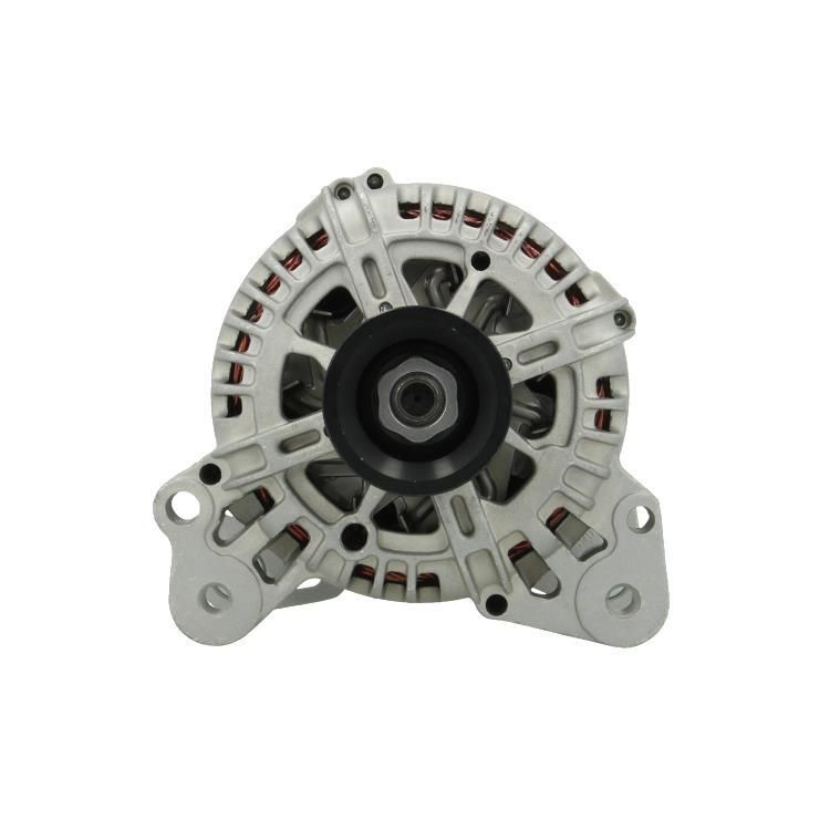 BV PSH 305.519.110.000 Alternator