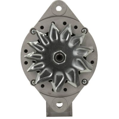 Alternator BV PSH 816.004.080.010