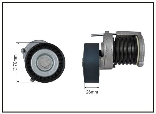 CAFFARO 100100SP Tensioner Lever, V-ribbed belt