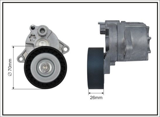 CAFFARO 101100SP Tensioner Lever, V-ribbed belt