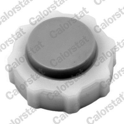 Cap, coolant tank CALORSTAT by Vernet RC0018