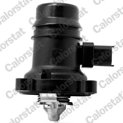 Thermostat, coolant CALORSTAT by Vernet TE7246.103J