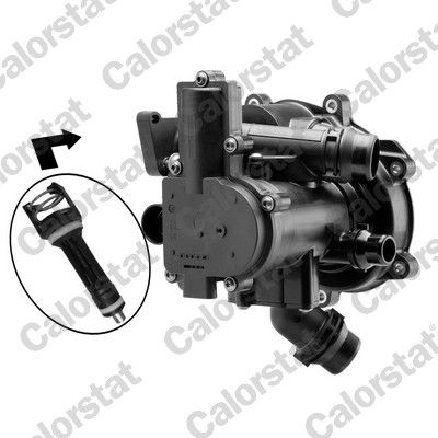 Thermostat, coolant CALORSTAT by Vernet TFS7195.113J
