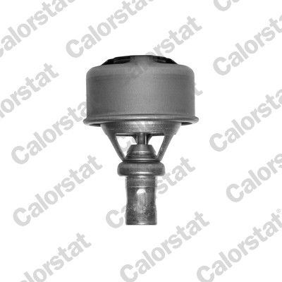 CALORSTAT by Vernet TH4495.89 Thermostat, coolant