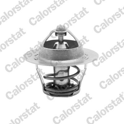CALORSTAT by Vernet TH5075.88J Thermostat, coolant