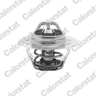 CALORSTAT by Vernet TH5108.89J Thermostat, coolant