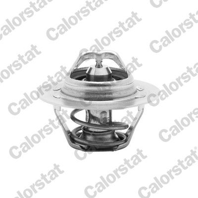 CALORSTAT by Vernet TH6045.89J Thermostat, coolant
