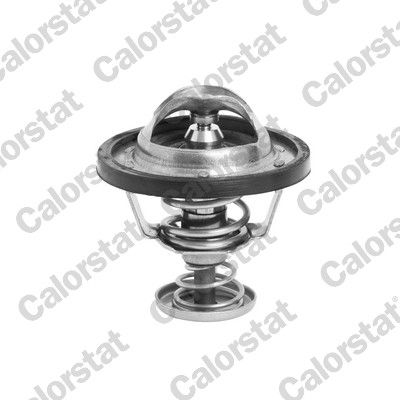 Thermostat, coolant CALORSTAT by Vernet TH6295.88J