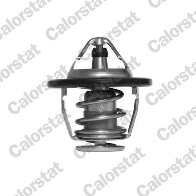 CALORSTAT by Vernet TH6520.82J Thermostat, coolant