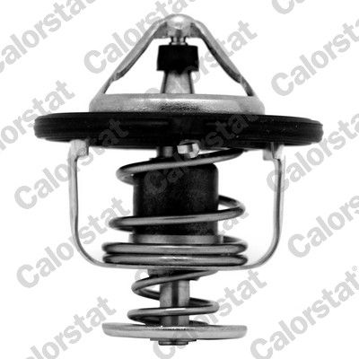 CALORSTAT by Vernet TH6948.82J Thermostat, coolant