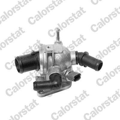 Thermostat, coolant CALORSTAT by Vernet TH6981.88J