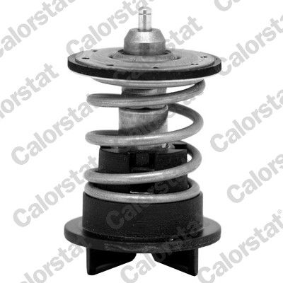 Thermostat, coolant CALORSTAT by Vernet TH7272.89