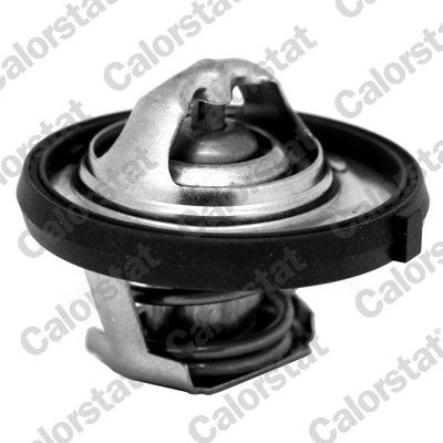 Thermostat, coolant CALORSTAT by Vernet TH7311.95J