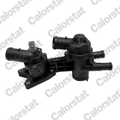 Thermostat, coolant CALORSTAT by Vernet TH7319.80J