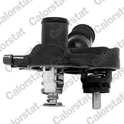 Thermostat, coolant CALORSTAT by Vernet TH7330.83J