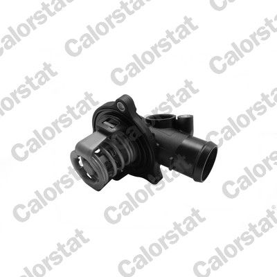 Thermostat, coolant CALORSTAT by Vernet TH7366.87J