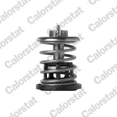 CALORSTAT by Vernet TH7382.88 Thermostat, coolant