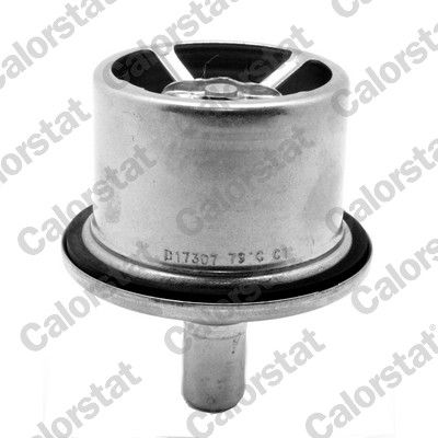 Thermostat, coolant CALORSTAT by Vernet THS19099.87