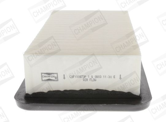 CHAMPION CAF100873P Air Filter