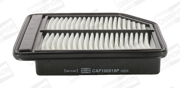 CHAMPION CAF100919P Air Filter