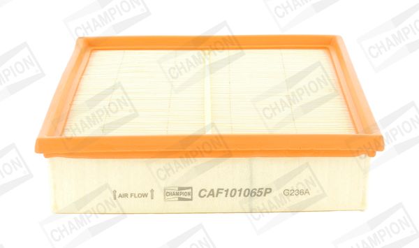 CHAMPION CAF101065P Air Filter