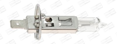Bulb, spotlight CHAMPION CBH01S