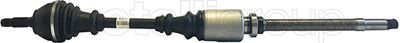 Drive Shaft CIFAM 655-011