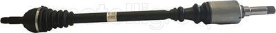 Drive Shaft CIFAM 655-015