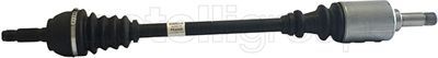 Drive Shaft CIFAM 655-016