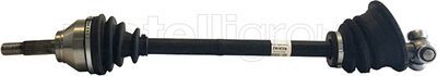 Drive Shaft CIFAM 655-048