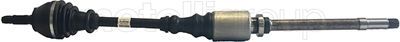 Drive Shaft CIFAM 655-063