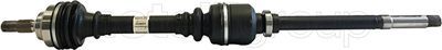 Drive Shaft CIFAM 655-079