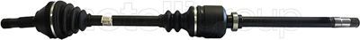 Drive Shaft CIFAM 655-161