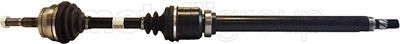 Drive Shaft CIFAM 655-464