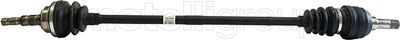Drive Shaft CIFAM 655-555