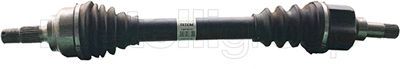 Drive Shaft CIFAM 655-560
