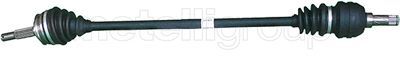 Drive Shaft CIFAM 655-624