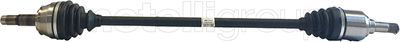 Drive Shaft CIFAM 655-656