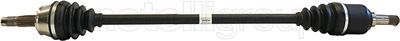Drive Shaft CIFAM 655-712