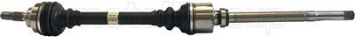 Drive Shaft CIFAM 655-731