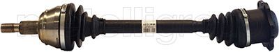 Drive Shaft CIFAM 655-747