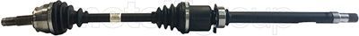 Drive Shaft CIFAM 655-802