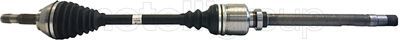 Drive Shaft CIFAM 655-816