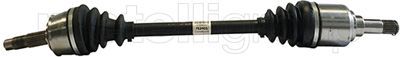 Drive Shaft CIFAM 655-825