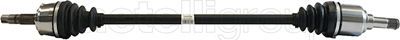 Drive Shaft CIFAM 655-826