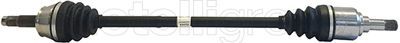 Drive Shaft CIFAM 655-828