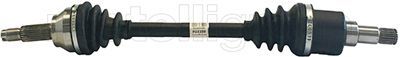 Drive Shaft CIFAM 655-838