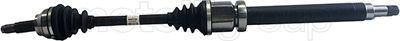 Drive Shaft CIFAM 655-839