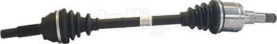 Drive Shaft CIFAM 655-892